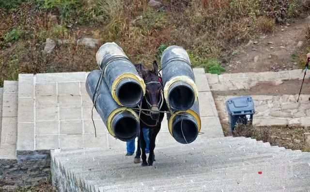 台州马帮运输